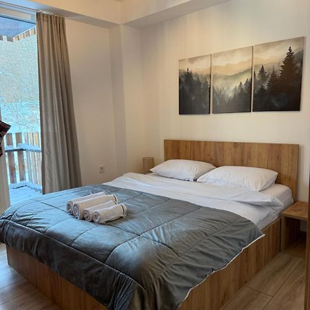 Mm Mavrovo Apartments Dış mekan fotoğraf